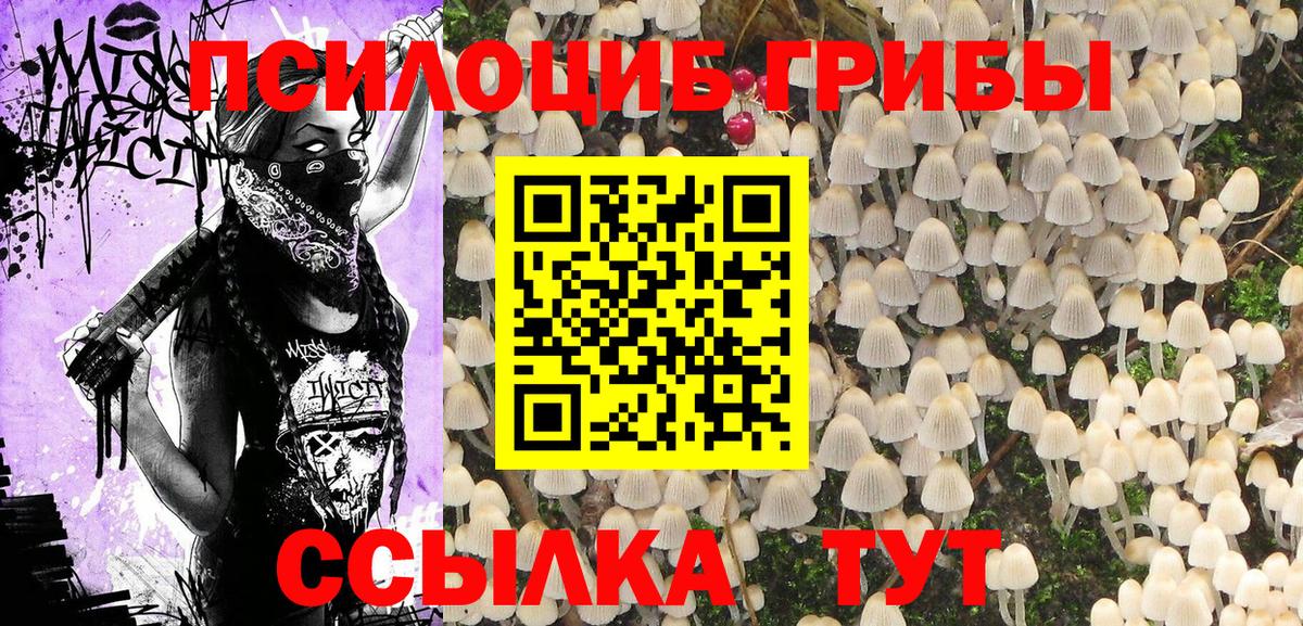 Геленджик  Псилоцибиновые грибы Magic Shrooms  Вход с VPN 